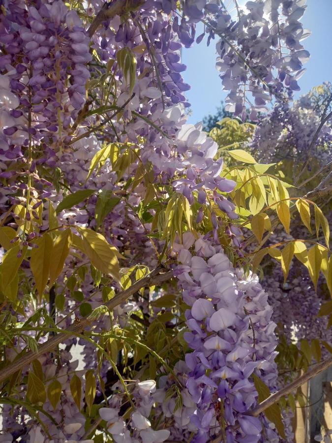 Lilac House Corfu  Zewnętrze zdjęcie